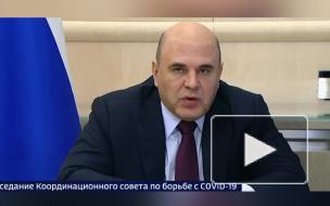 Мишустин поручил разработать допмеры по защите россиян от COVID-19