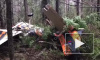 Опубликовано видео с места крушения легкомоторного самолета в Пермском крае