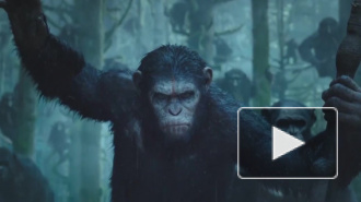 "Планета обезьян: Революция" удержится в топ-5, считают эксперты