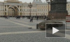 На Дворцовой площади появился гигантский ящер от художника Вадима Соловьева