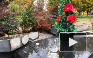 Полиция проверяет погром памятника жертвам радиационных катастроф в Колпино