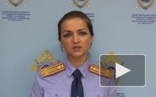 Следственный комитет решил с руководством "Пулково" ситуацию о падении женщины с ребенком с трапа самолета