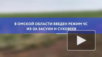 В Омской области введен режим ЧС из-за засухи и суховеев