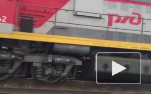 У станции Погостье в Ленобласти сошел с рельсов товарняк: задерживаются электрички