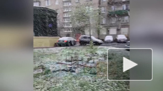 Утром в четверг в Петербурге выпал снег