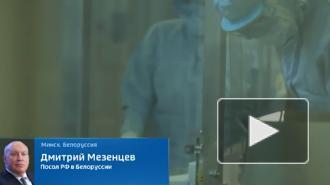 Названы сроки начала выпуска российской вакцины в Белоруссии