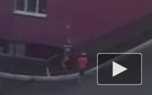 Чудовищное видео из Пензы: Дети швыряли и кидали мертвую собаку