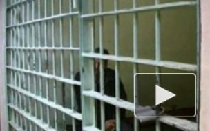 Правоохранительные органы задержали гражданина Египта по подозрению в изнасиловании петербурженки