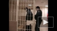В Петербурге осуждена банда, которую 11-классник сколоти...