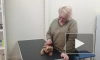Найденный в отходах на заводе Петербурга пёс Счастливчик обрёл новых хозяев