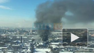 Видео: на Митрофаньевском шоссе горят склады с мусором 