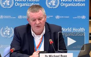 ВОЗ: "Коронавирус может стать эндемическим заболеванием"
