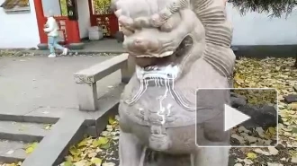Вандалы облили скульптуры львов в Саду дружбы на Литейном проспекте