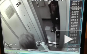 В Петербурге задержали предполагаемого грабителя школьной директрисы