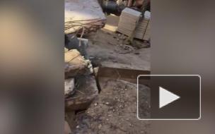 В Петербурге во время строительных работ обнаружили надгробия XIX века