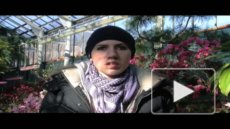 Вальс цветов. В Ботаническом саду расцвели азалии