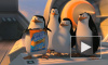 "Пингвины Мадагаскара": пернатые мастера шпионажа получили свои полтора часа славы
