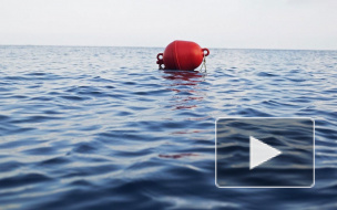 В Японском море продолжаются поиски пропавшего рыболовецкого судна "Восток"