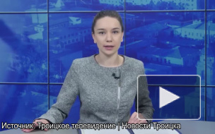 Насекомое ворвалось в студию российского канала и прервало эфир