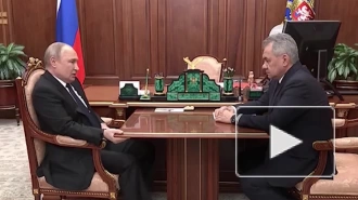 Путин поручил Шойгу вручить награды российским военным за освобождение Мариуполя