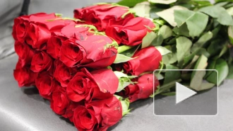 В Петербург в преддверии 8 марта привезли около 600 тонн цветов