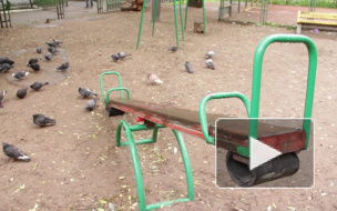 Полиция 5,5 часов искала детей, ушедших в "поход по неизведанным местам" в Купчине