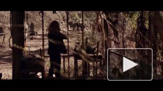 Universal перенесла новые части "Хэллоуина" на год