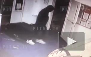 Ограбление магазина на улице Ленсовета попало на видео