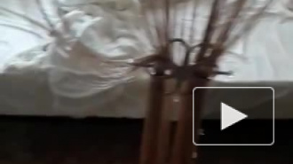 Как оно есть