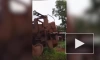 В Гвинее столкнулись грузовые поезда компании "Русал"