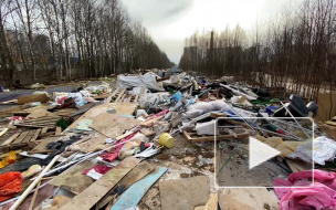 Жители Невского района жалуются на огромную свалку с химическими отходами