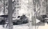 Петербуржец разбил окно BMW, похитил оттуда Iphone и спрятал его под деревом 