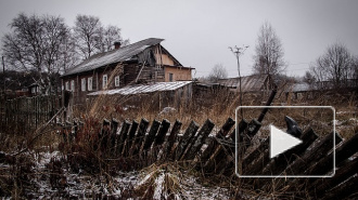 В Липецке пенсионерка закопала труп сожителя в огороде