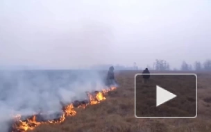 В Магаданской области загорелась в мороз сухая трава