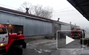 В Екатеринбурге сгорел террариум с рептилиями
