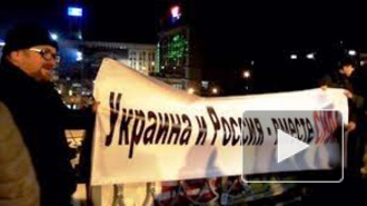 На Милонова напали на Евромайдане из-за плаката