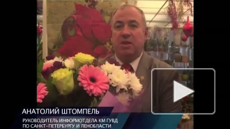 Атаманша Рита.  Дерзкое ограбление банка на Торфяной дороге