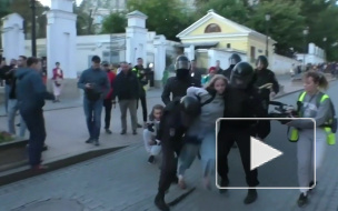 В МВД объяснили, почему полицейский ударил девушку в живот на несанкционированной акции