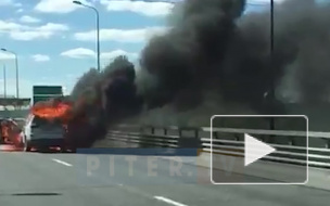 Видео: на ЗСД у Горского шоссе полыхает легковой автомобиль