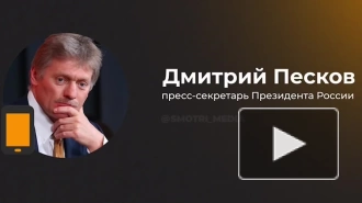 Песков высказался о возможном визите Зеленского в США