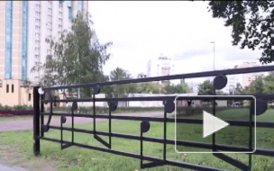 В Петербурге озвучили мелодию с забора в сквере Цоя