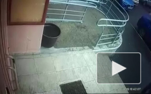 Видео: В Новой Москве неизвестный обливал двери подъездов кислотой