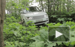 В Гатчине состоялось роад-шоу  Jaguar и Land Rover