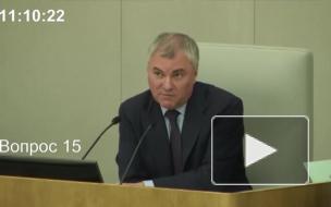  Володин призвал быстрее денонсировать налоговое соглашение с Нидерландами