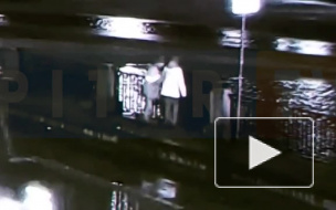 Появилось видео того, как мужчина перекидывает девушку в Фонтанку