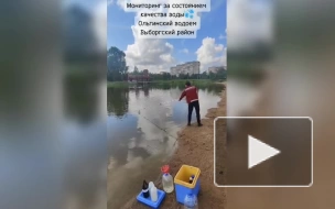 В Петербурге нет пригодных для купания водоемов