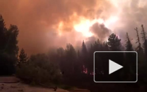 ФСБ: пожары в лесах Европы – это «лесной джихад» «Аль-Каиды»