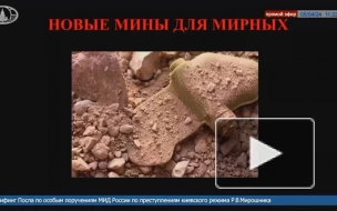 ВСУ продолжают использовать запрещенные мины "Лепесток", заявил Мирошник