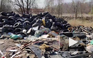 Жители Невского района пожаловались на свалку на Дальневосточном 