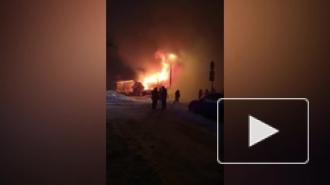 В Красном селе дотла сгорел дом многодетной семьи